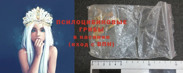 бошки Алексин