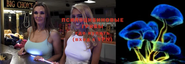 бошки Алексин