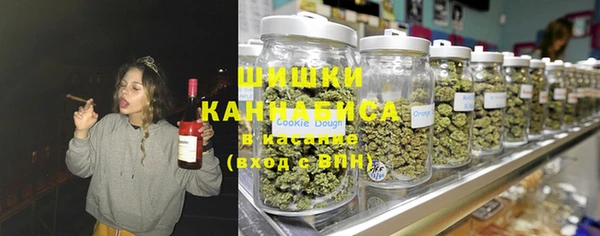 бошки Алексин