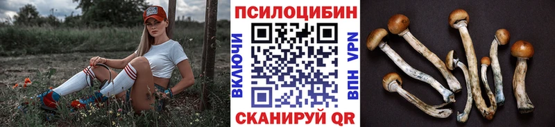 Галлюциногенные грибы GOLDEN TEACHER  blacksprut как войти  Кропоткин 