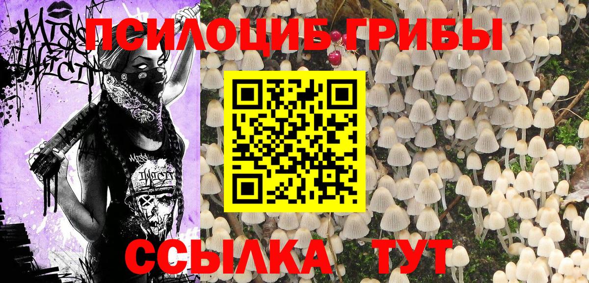 Галлюциногенные грибы ЛСД Кропоткин