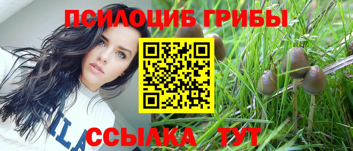 Галлюциногенные грибы Psilocybe  Вход с VPN  где купить наркоту  Кропоткин 